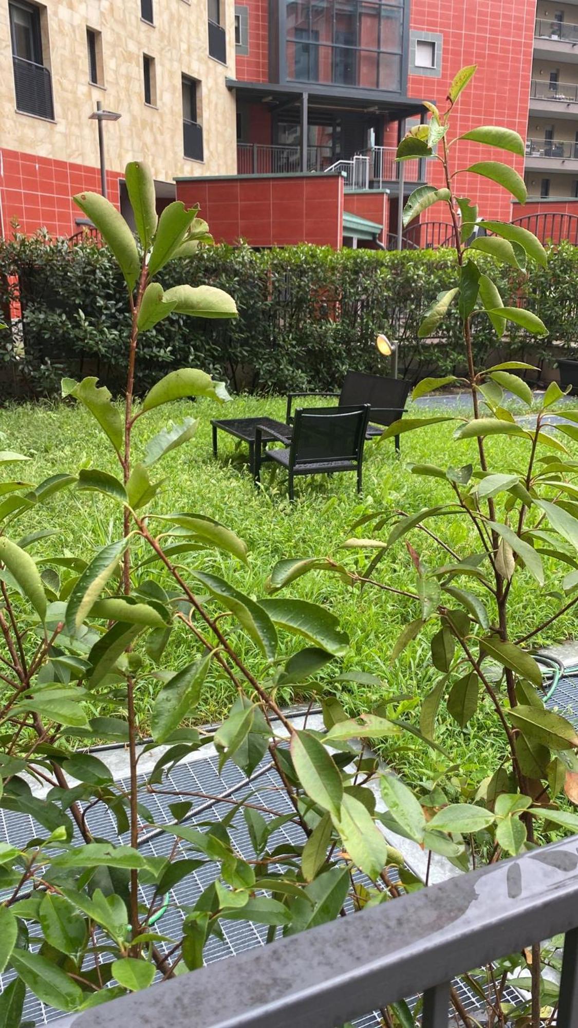 Cos54 - Exclusive Apartment With Garden In Milano Ngoại thất bức ảnh